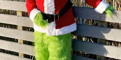 Fun Grinchmas Photos at Wonderland!