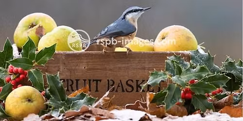 RSPB Skipton Group Hosted by David Adam \u2018Chairman\u2019s Christmas Special Evening & Quiz\u2019