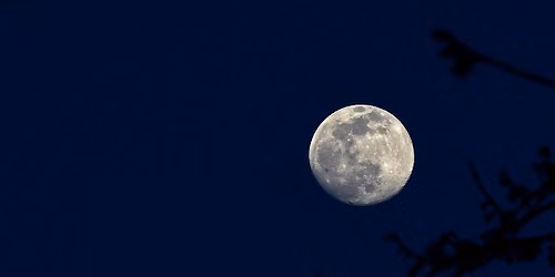 Full Moon Hike