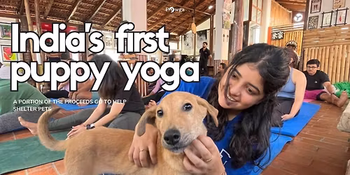 Pawga&apos;s Puppy Yoga