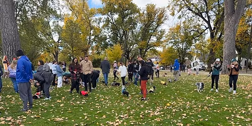 Wash Park Weenies Meetup and Walk