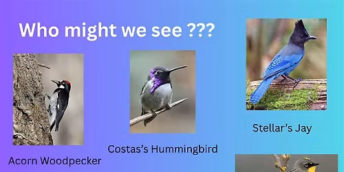 LO Inland Empire | Bird Watching at Louis Rubidoux Parkland