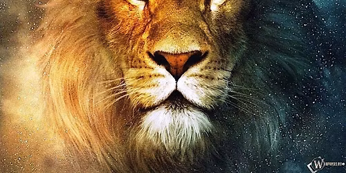 The GateKeeper: A Sacred Masculine Group