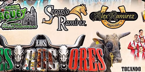 Toros y Bandas