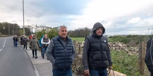 Christmas Walk & Activities