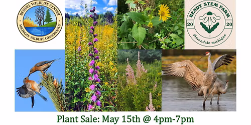 Bengel Wildlife Center Native Plant Sale + Birding Hike 