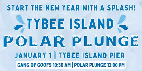 2026 Tybee Island Polar Plunge
