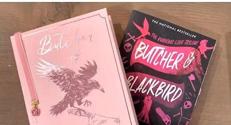 September Book Club: Butcher and Blackbird by BrynneWaver