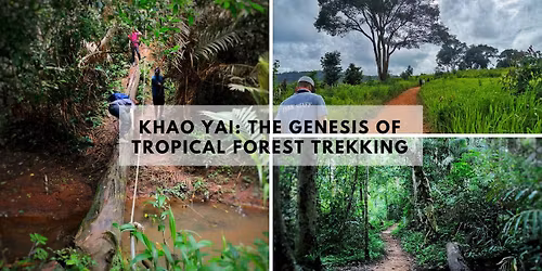 Khao Yai: The Genesis of Tropical Forest Trekking