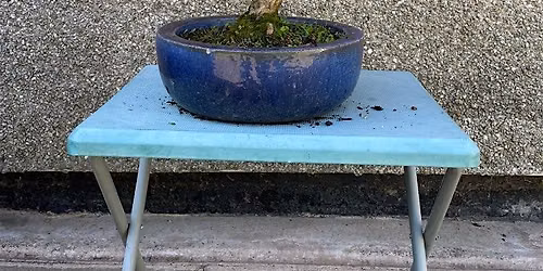 Bonsai Workshop and Display