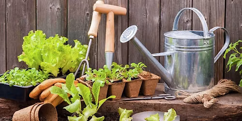 Garden Maintenance 101