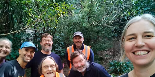 Community Working Bee | Paekawakawa Reserve 