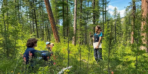 Master Naturalist Club