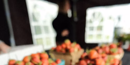 Farmer\u2019s Market Friday