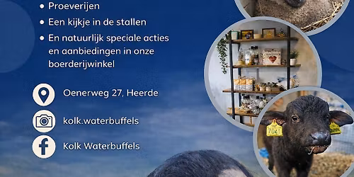 Open Dagen Kolk Waterbuffels