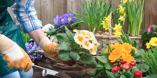 Past Times Potting Shed