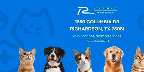 HSNT Mega Adoption Event