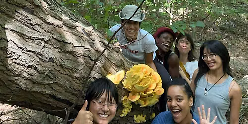 Queerness is Nature - Mushroom Walk with Maria Pinto
