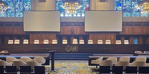 Assessing the Impacts of the Climate Change Advisory Opinions