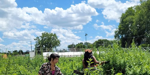 Herbalism Volunteer Hours