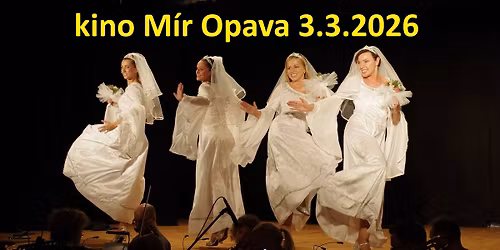 SPAMALOT v Opav\u011b