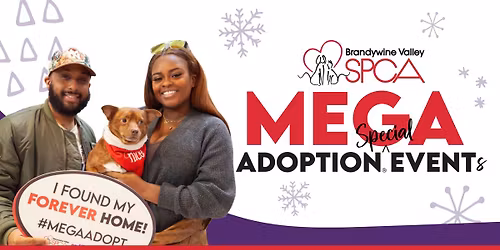 Pre-Mega Adoption Event: King of Prussia Mall