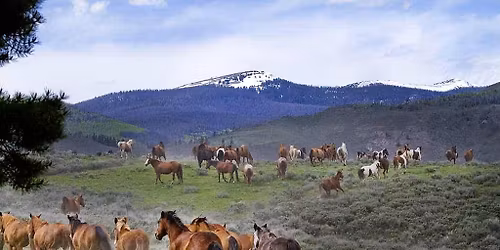 Wildheart Equine Retreat at C Lazy U Ranch | May 31\u2013June 4, 2026