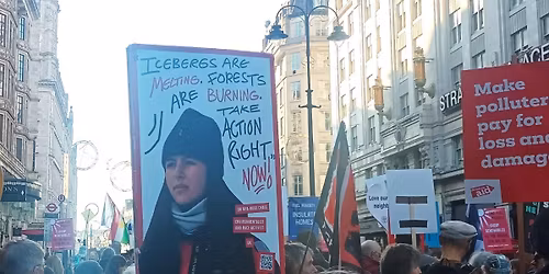 Home is Where with Forests and Rugh