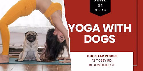 Yoga with Dogs in Bloomfield CT