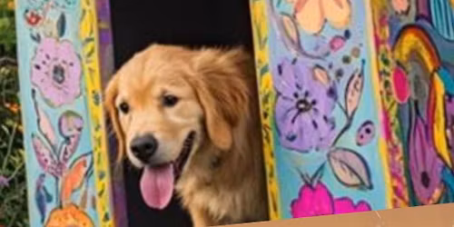 Kids workshop: Dog house design