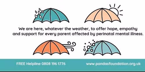 Stall Sudbury Christmas light switch on