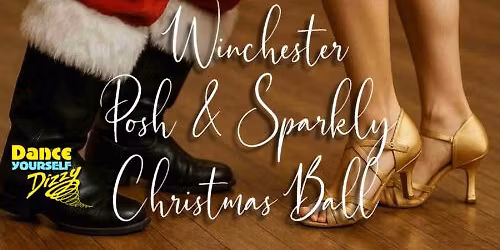Dance Yourself Dizzy - Posh & Sparkly Christmas Ball