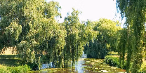 Chilham 6.2 mile walk