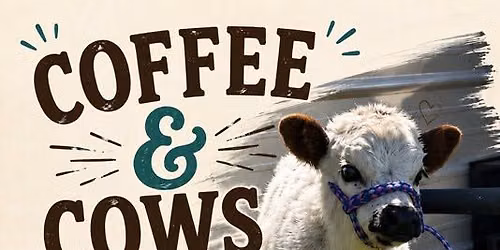 Coffee & Cows