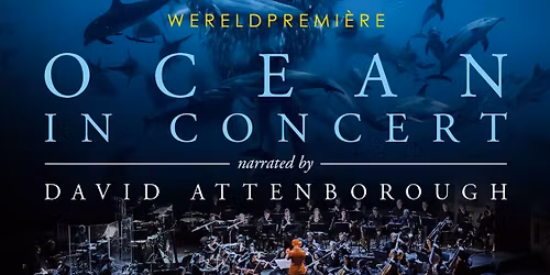 Naples Philharmonic: Mario Venzago - Korngold's Hollywood Concert