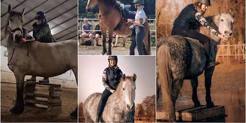 Ridning - klikkertr\u00e6ningshesteskolen med Johanne Sk\u00e6rb\u00e6k