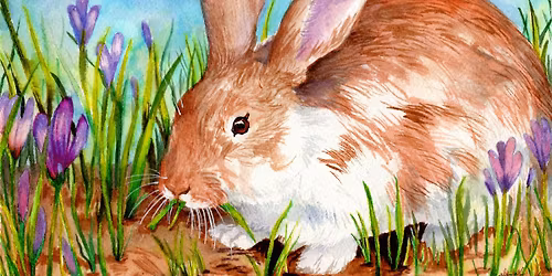 Beginning Drawing & Painting for Teens 4 Week Class