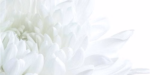 White Bath Workshop & Healing Experience #2 IN-PERSON with Safe Black Space