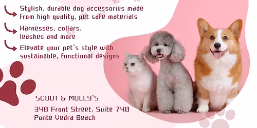 Lulu Grazer Dog Accessories & Swara Jewelry Trunk Show