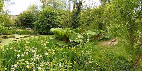 BAT WALK Magpiebottom Nature Reserve