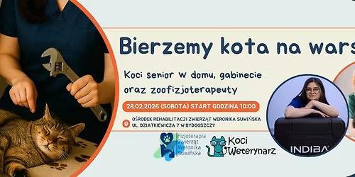 Bierzemy kota na warsztat \u2013 koci senior w domu, w gabinecie oraz zoofizjoterapeuty