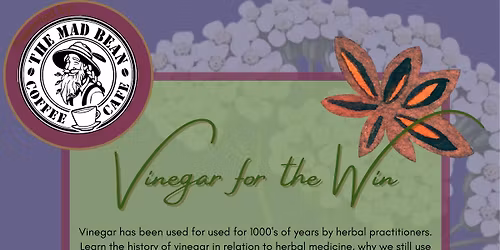 Apothecary 101-Vinegar for the Win