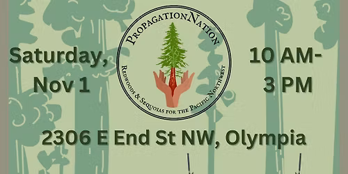 Redwood & Sequoia Potted Tree Sale