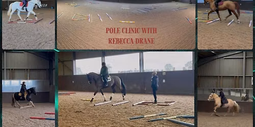 POLEWORK with Rebecca Drane