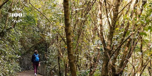 Kaiwharawhara Restoration Revisited