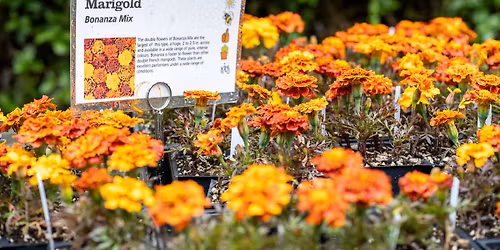 May Edible Plant Sale