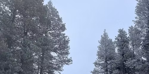 Songs to Warm the Winter Night