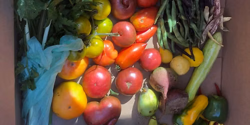 Fruit Ceremony & Music w\/ Dave Mascatello aka Organic Man 9\/27