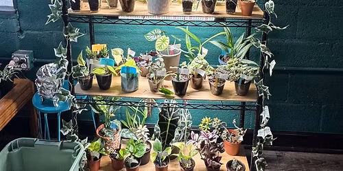 2nd House Plant Club Meeting 