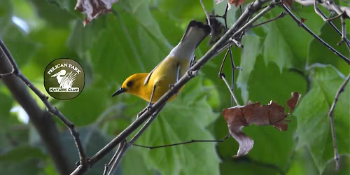 Monthly Bird Walk- Fontainebleau Early Birds